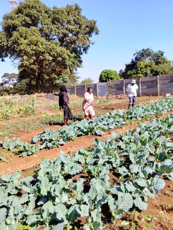 Gardening or practical activities